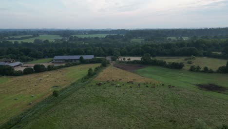 Fling-over-German-landscape-time-lapse