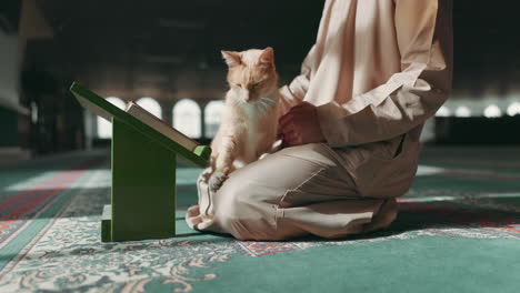 muslim, person and cat in a mosque during praying