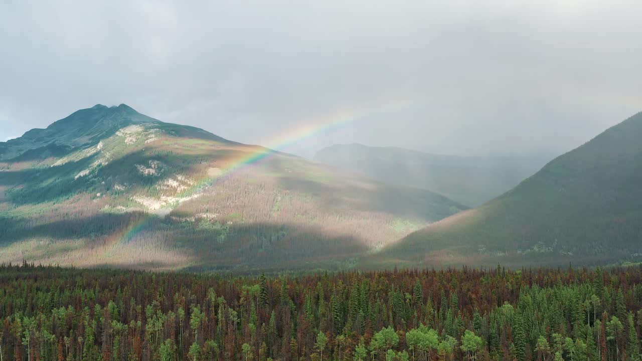 hermosa vista aérea ascendente de las montañas rocosas canadienses con arco iris en 4k - naturaleza, bosque y paisaje montañoso - jasper, alberta