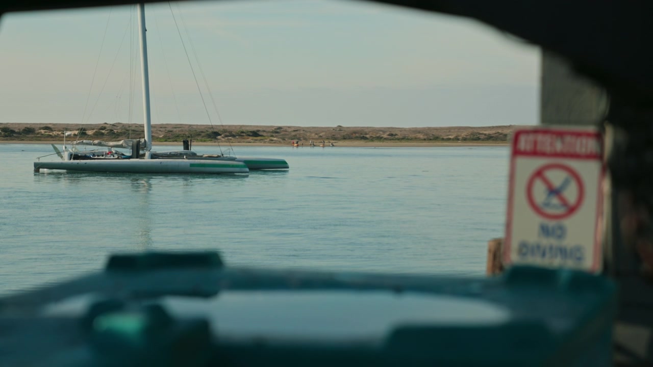 Catamarano a vela che attracca al porto turistico di Morro Bay