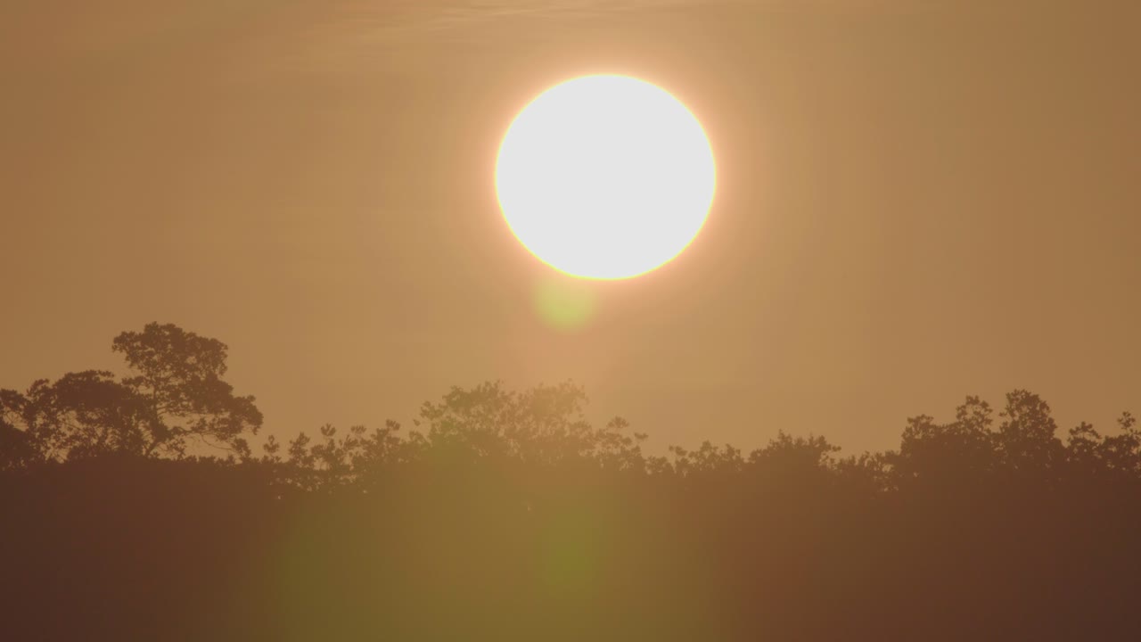 cálido paisaje de amanecer con siluetas de pájaros volando