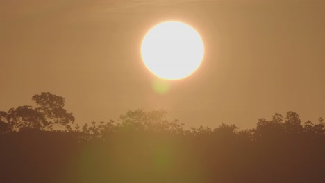 warm sunrise landscape with bird silhouettes flying by