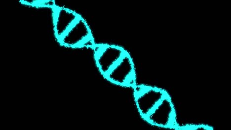 el adn holográfico azul digital. las cadenas de adn giratorias se ensamblan a partir de elementos individuales. el concepto científico de la ingeniería genética. las imágenes científicas. 4k