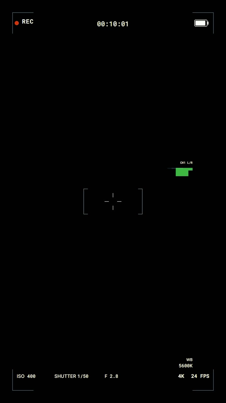 Digital Camera Viewfinder Interface Recording Screen