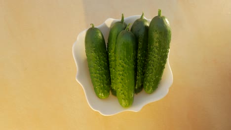 female hands put a plate of cucumbers on the table