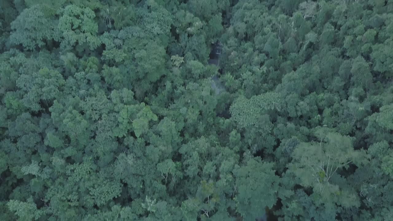 Slow pan down to reveal Brazilian waterfall in Amazon rainforest at sunset