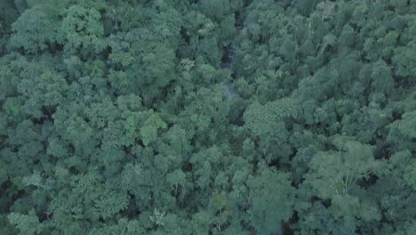 slow pan down to reveal brazilian waterfall in amazon rainforest at sunset