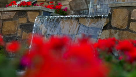 defocus view of red flowers with water feature in stone wall in the background