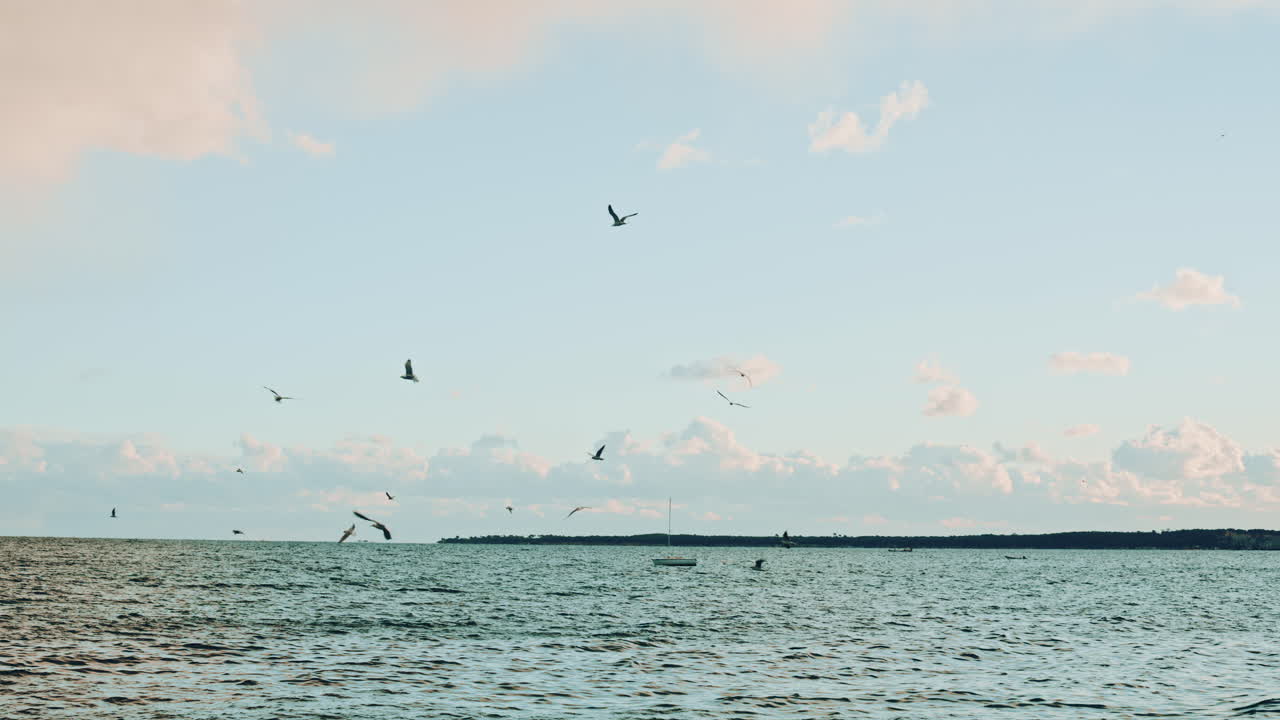 Row of tall palm trees standing against a dramatic sky filled with large clouds