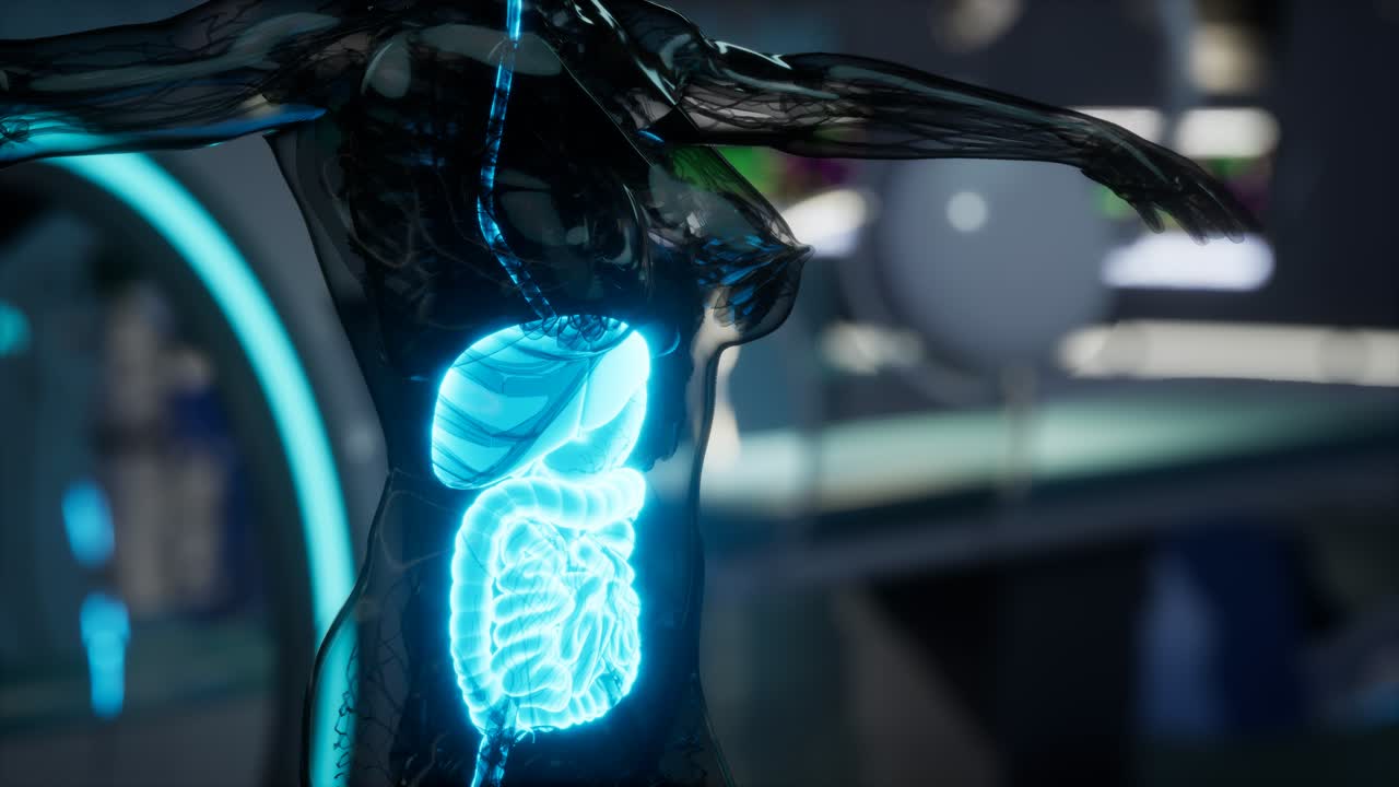 examen de anatomía del sistema digestivo humano en laboratorio