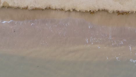 olas rompiendo suavemente en la playa con agua clara rebotando contra un paisaje erosionado