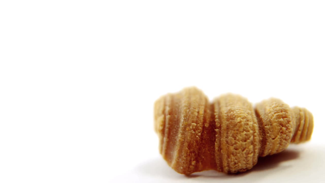 Close-up of conchiglie pasta