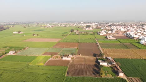 Zona-Residencial-Cerca-De-Tierras-Agrícolas-En-Punjab