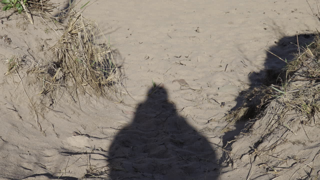 A static shot of a persons silhouette projected onto a sand dune. Ideal for themes of solitude, identity, or coastal exploration