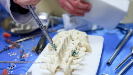 medtronic mas driver tool is applied by the neurosurgery student. close up. practicing neurosurgery on a spine dummy.