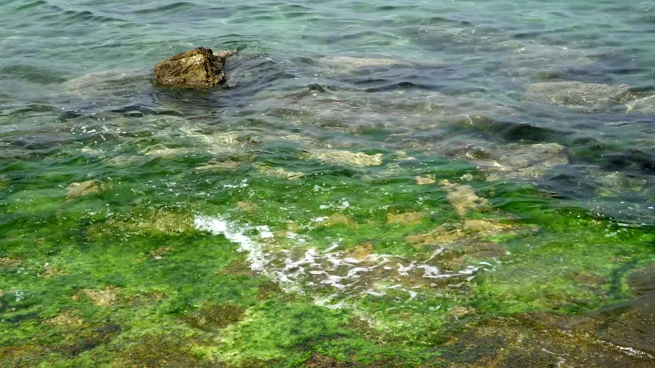 아름다운, 고, 파란색, 여름 아드리아 해와 주변 바위의 평온한 전망.