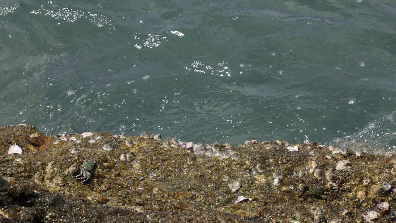 바다와 육지 사이의 역동적인 상호 작용을 보여주는 바나클로 인 바위 연안에 부드럽게 부히는 파도의 연속
