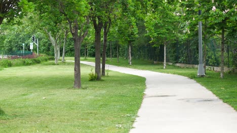 park pathway