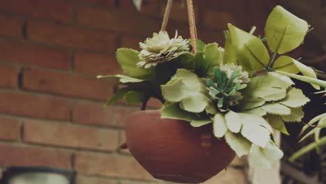 hanging garden plant in clay bowl slowly spinning against brickwork of house