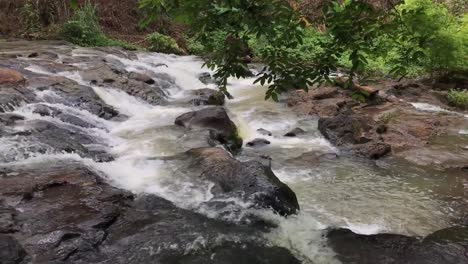 Wilder-Bergfluss-Aus-Nächster-Nähe,-Reichlicher-Klarer-Strom