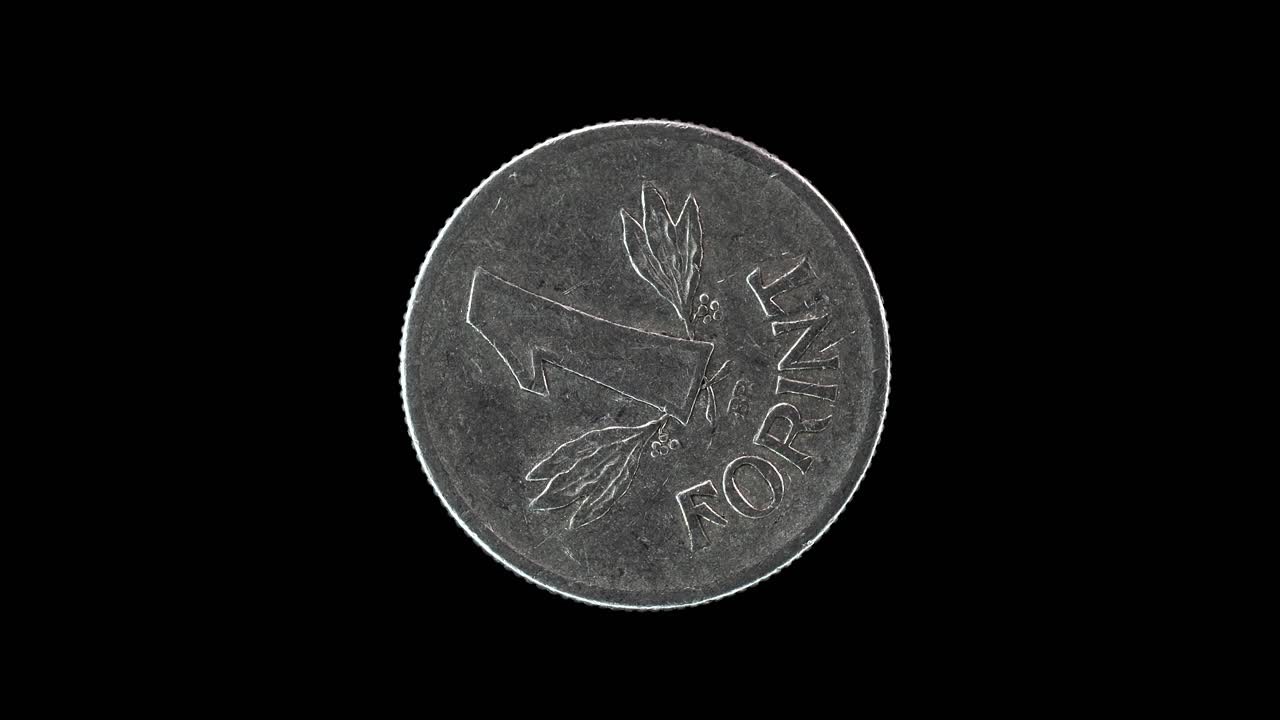 Hungary 1 forint 1976 reverse with denomination flanked by leaves, macro loop on black background