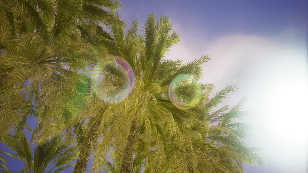 Palms swaying under bright sun with colorful light reflections in the sky