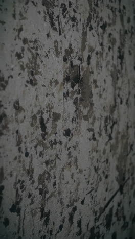 grunge wall texture