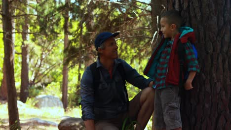 father and son interacting with each other in the park