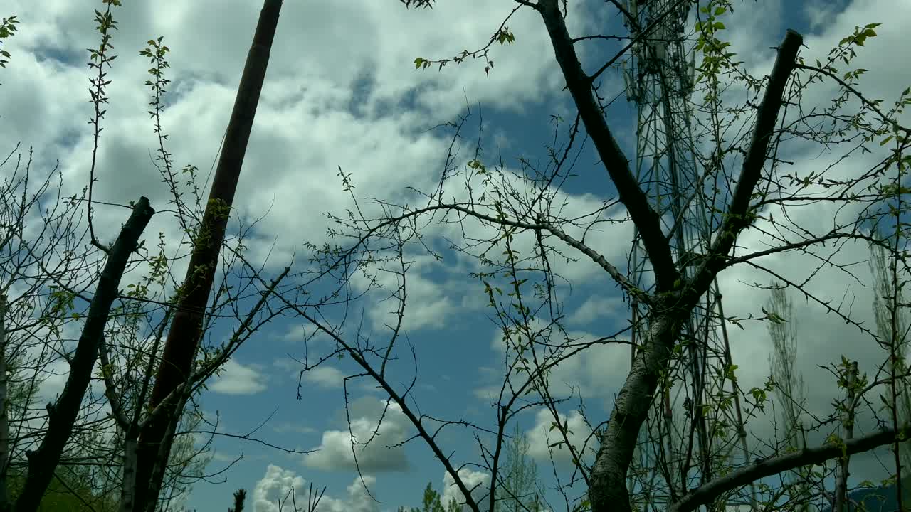 정원 컬렉션 클립 니샤트 스리나가르 카슈미르 인도, 아름다운 다채로운 꽃, 4 월에 립