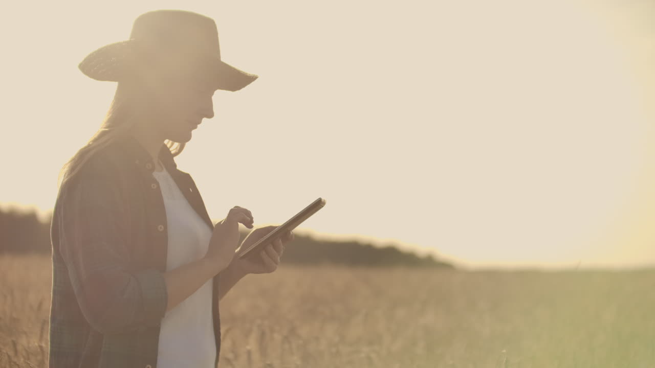 Close-up of woman's hand running through organic wheat field steadicam shot. Slow motion. Girl's hand touching wheat ears closeup. Sun lens flare. Sustainable harvest concept.