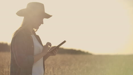 Close-up-of-woman's-hand-running-through-organic-wheat-field-steadicam-shot.-Slow-motion.-Girl's-hand-touching-wheat-ears-closeup.-Sun-lens-flare.-Sustainable-harvest-concept.