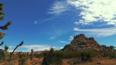 conduciendo a través del parque nacional joshua tree en california, ee.uu.