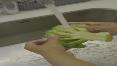 washing broccoli