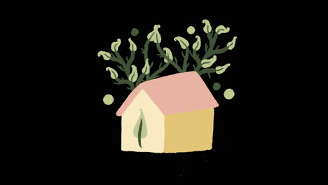 cute house with plants