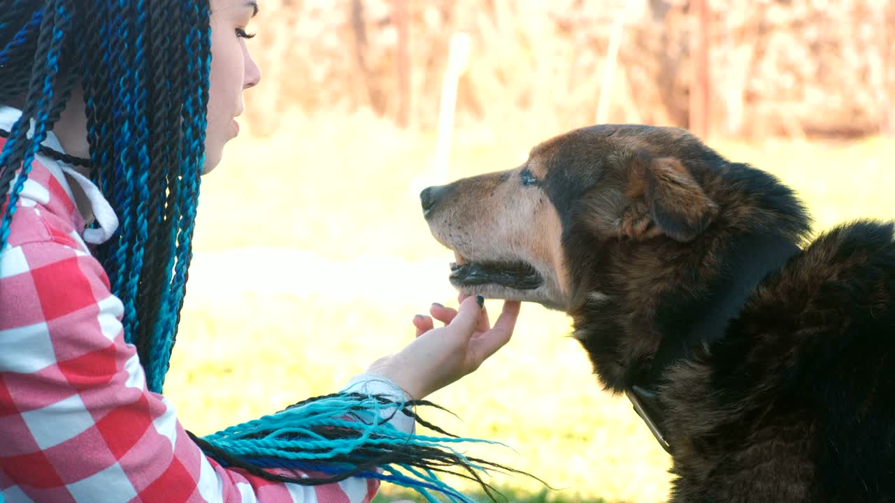 엄마와 아들은 밖에서 개를 애완합니다. 근접한 얼굴.