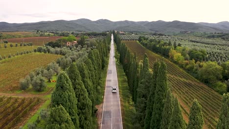 car driving a paved road between cypresses and vineyards. classic italian road top view. flight over the road. cypresses along the roads top view