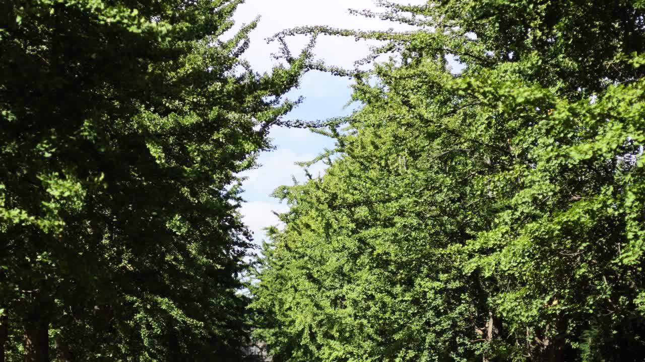 부트 공원에서 산책 하고 휴식을 취하는 사람 들