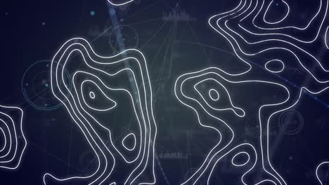 animación de la red de conexiones a través del procesamiento de datos