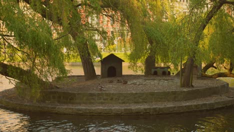 Paisaje-Del-Jardín-Del-Pequeño-Parque-Isleño-En-Los-Estanques-De-Ixelles-En-Bruselas,-Bélgica