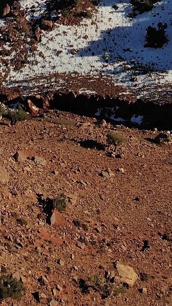 Veduta aerea di un paesaggio roccioso con alberi sparsi in Marocco