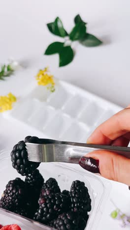 preparing blackberry and raspberry ice cubes