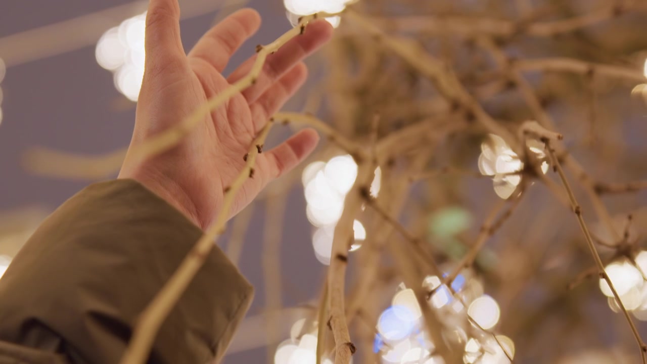 White hand reaching warm holiday lights curious shopper pauses at illuminated market stall, fingers graze twinkling bulbs among hanging branches, soft bokeh and golden glow create intimate nostalgic