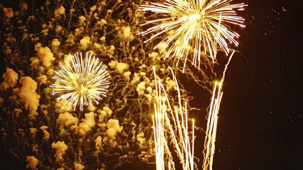 Vibrant fireworks burst against a dark sky, captured from a low-angle, creating a dynamic