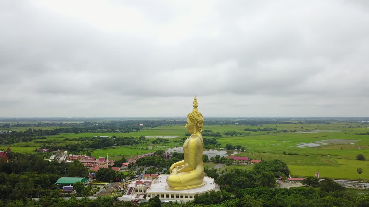 Golden Buddha statue amidst vast greenery, serene and majestic view