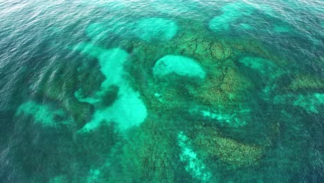 aerial view of clear blue ocean and coral reef in nsw australia - drone shot