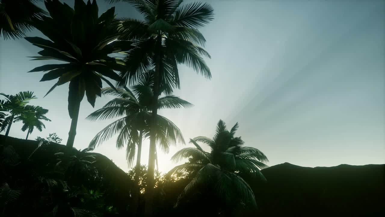 Mountain and Field Landscape with Palms
