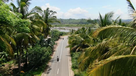 aerial view slow moving shot, motorcycles passing on the southern road of lombok, scenic view of palm trees and rice fields in the background