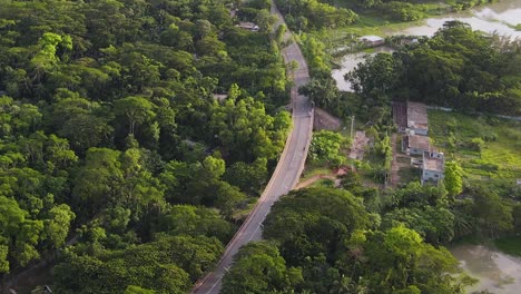 aerial view of asphalt road among lush vegetation forest, wetlands landscape
