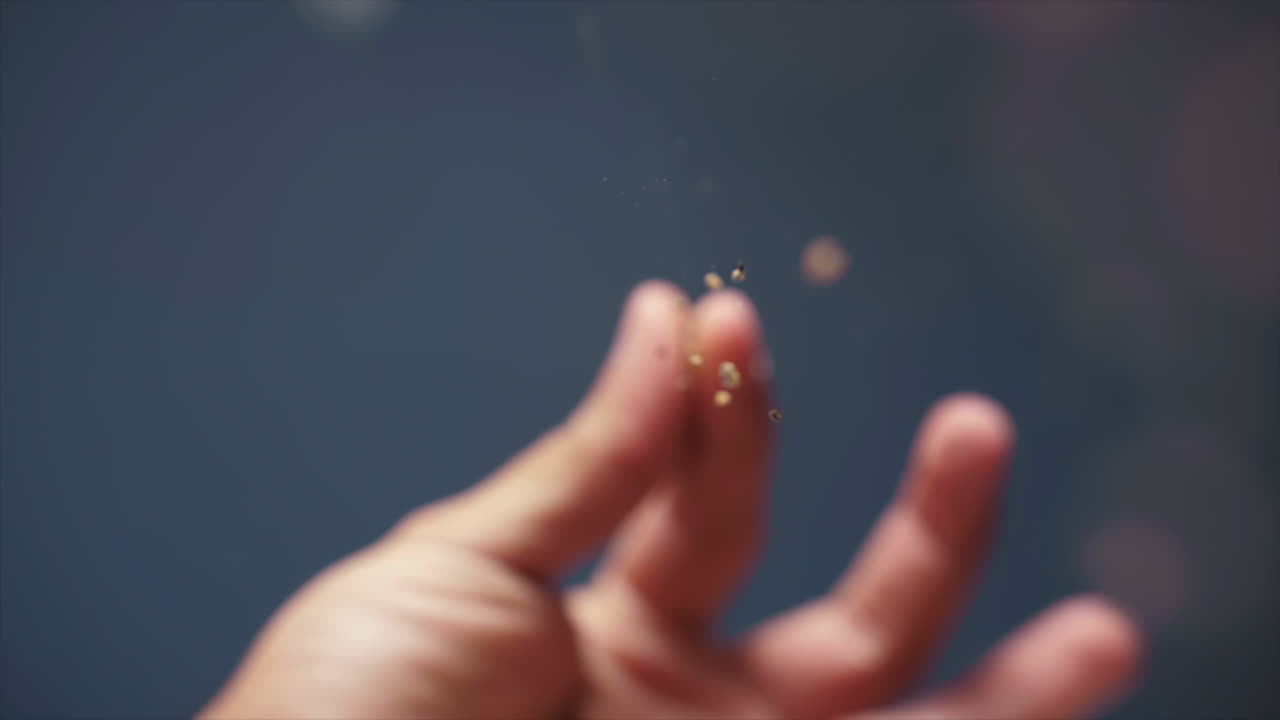 Chef's hand in slow motion sprinkling peppercorns on a dish, extreme shallow depth of field - pornfood style with blue background