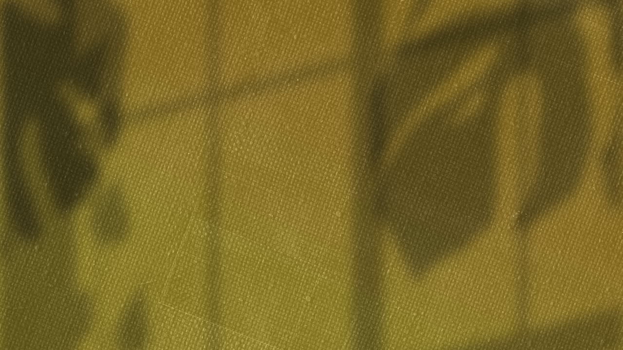 animación de sombras de hojas balanceándose sobre la textura cambiante del lienzo marrón